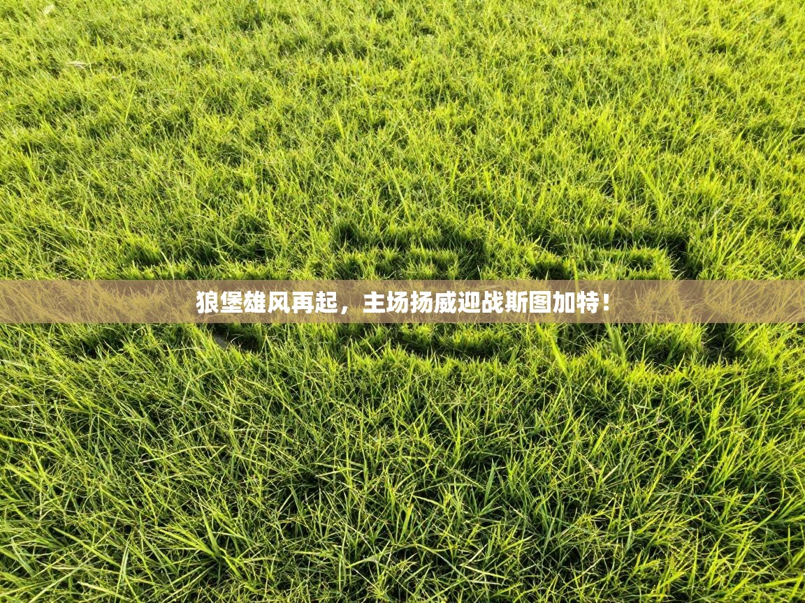 狼堡雄风再起,主场扬威迎战斯图加特! 第1张